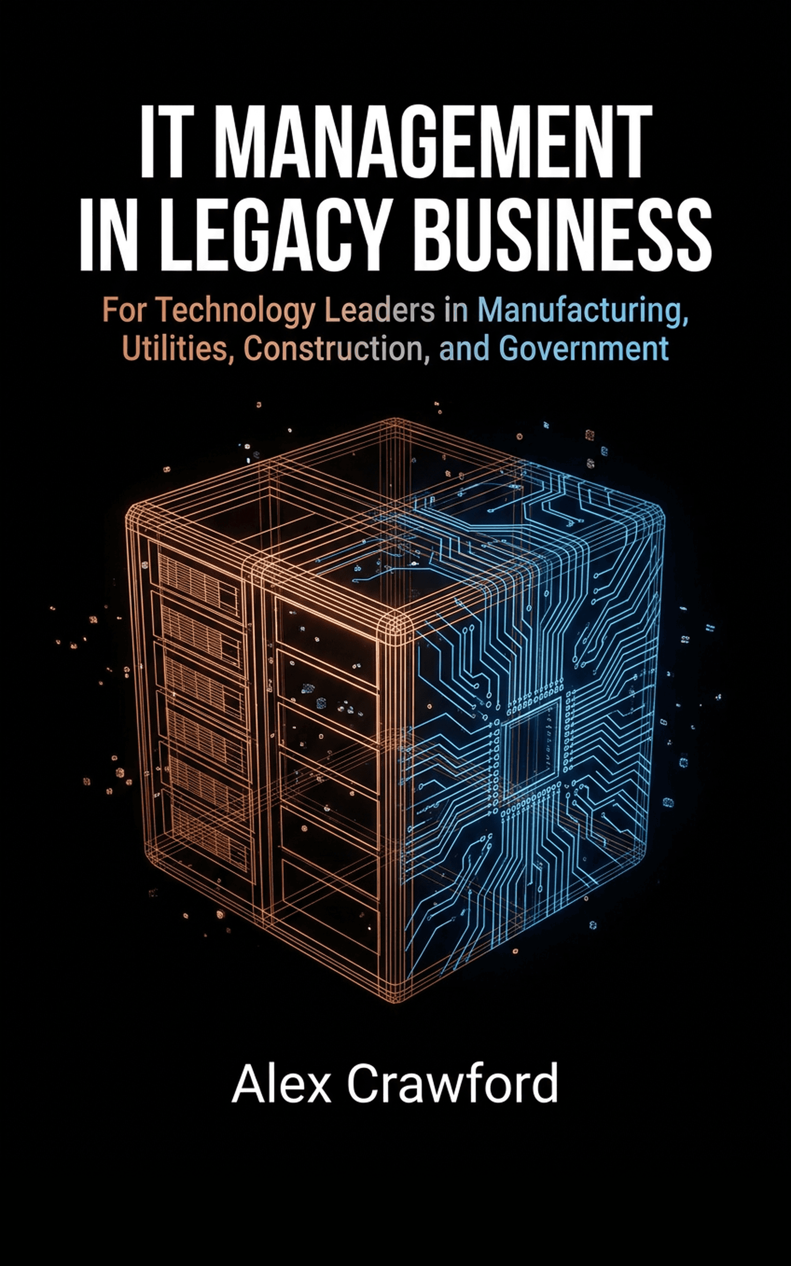 IT Management in Legacy Business